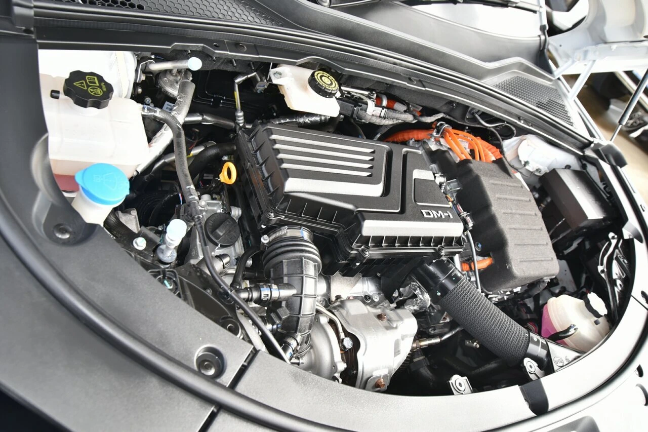 Photo 12